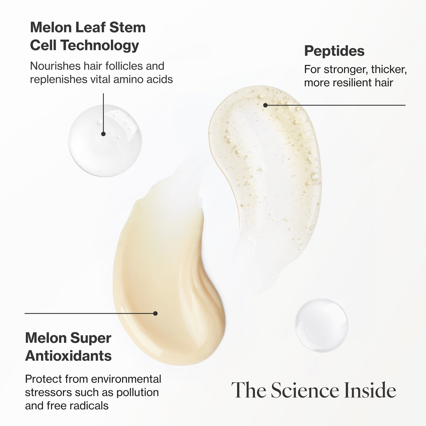Infographic describing the key ingredients and technology in 4-Piece Deluxe Age-Proof Haircare System