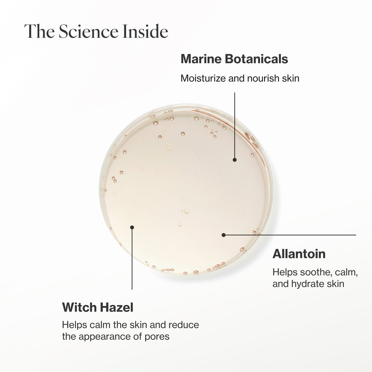 Infographic describing the key ingredients and technology in Pore Refining Toner