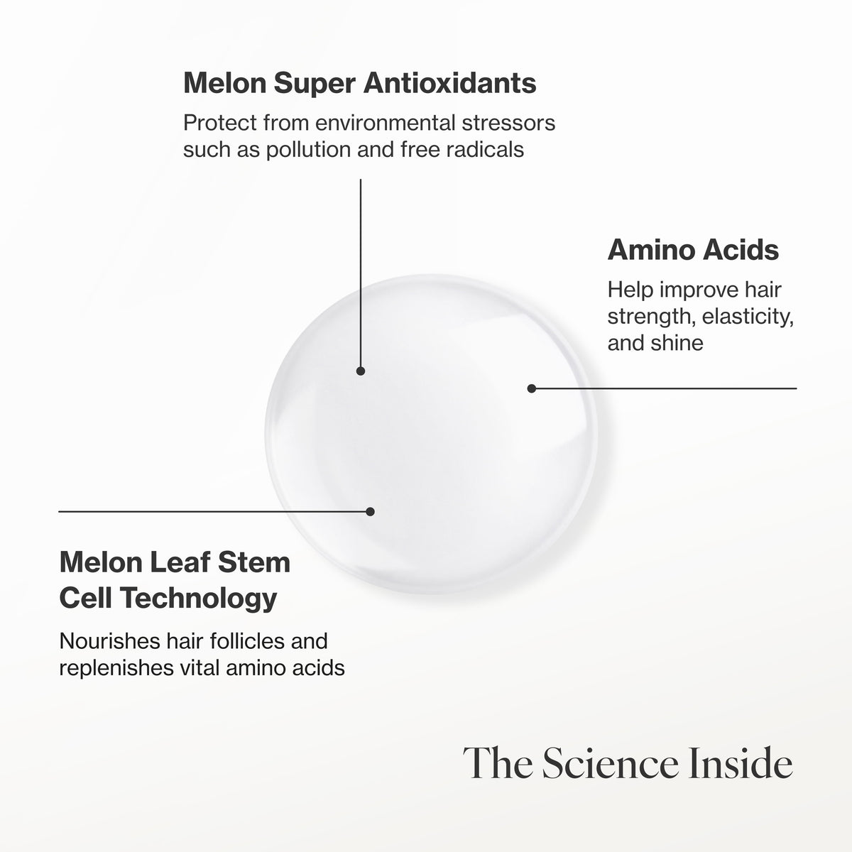 Infographic describing the key ingredients and technology in Restorative Scalp Treatment