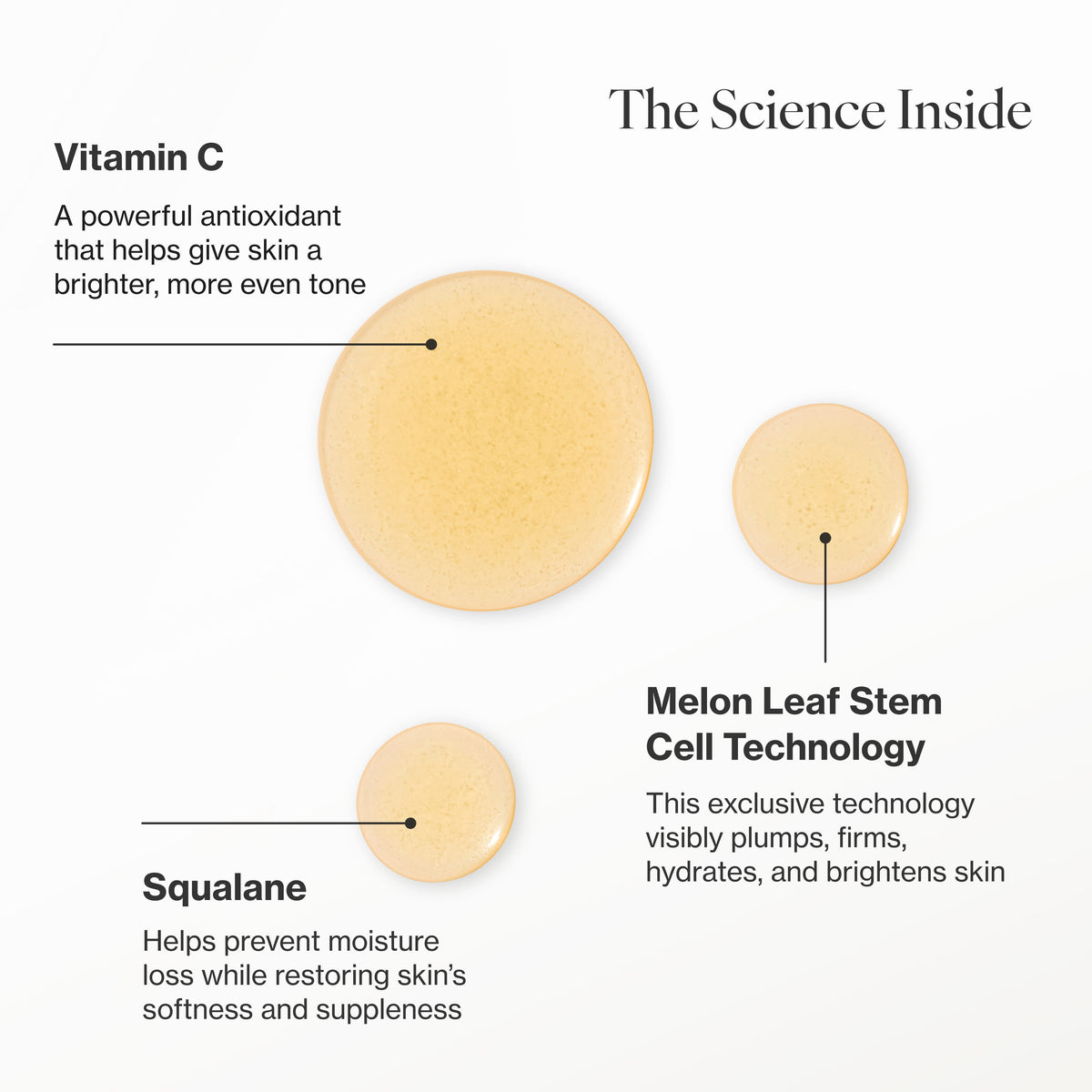 Infographic describing the key ingredients and technology in Vitamin C Bi-Phase Brightening Oil