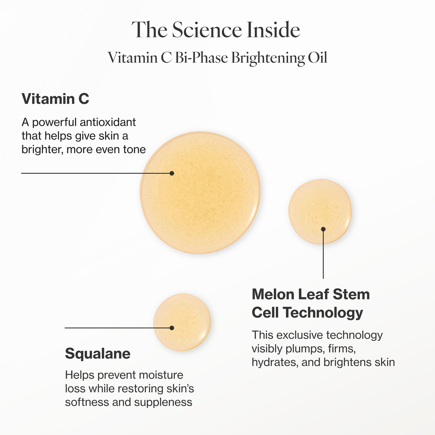 Vitamin C Brightening Duo