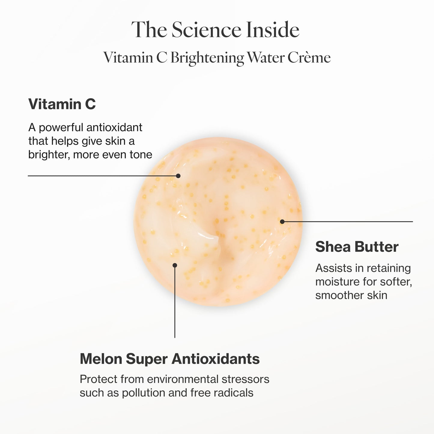Vitamin C Brightening Duo