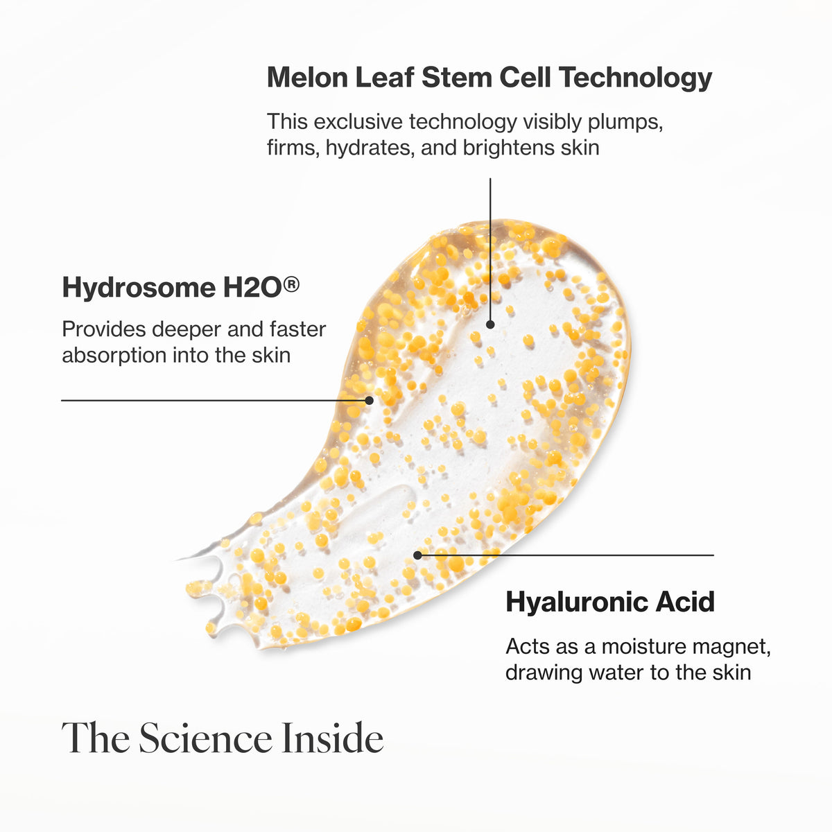 Infographic describing the key ingredients and technology in Youth Activating Melon Serum